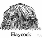 Haycock - a small cone-shaped pile of hay that has been left in the field until it is dry enough to carry to the hayrick