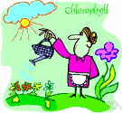 chlorophyl - any of a group of green pigments found in photosynthetic organisms