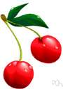 Bing cherry - dark red or blackish sweet cherry