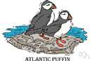 Atlantic - relating to or bordering the Atlantic Ocean