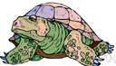 tortoise - usually herbivorous land turtles having clawed elephant-like limbs