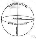 circumference - the size of something as given by the distance around it