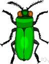 borer - any of various insects or larvae or mollusks that bore into wood