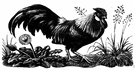 bantam - any of various small breeds of fowl