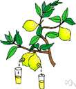 acidulate - make sour or more sour