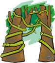 liana - a woody climbing usually tropical plant