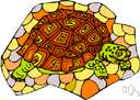Gopherus polypemus - burrowing edible land tortoise of southeastern North America
