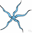 brittle-star - an animal resembling a starfish with fragile whiplike arms radiating from a small central disc