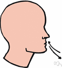 respiration - the bodily process of inhalation and exhalation