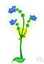 blue sage - Texas sage having intensely blue flowers