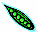 pea family - a large family of trees, shrubs, vines, and herbs bearing bean pods