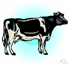bovine - any of various members of the genus Bos