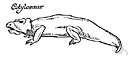 Anapsida - oldest known reptiles