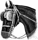 winker - blind consisting of a leather eyepatch sewn to the side of the halter that prevents a horse from seeing something on either side