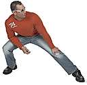 fireball - a highly energetic and indefatigable person