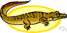 caiman - a semiaquatic reptile of Central and South America that resembles an alligator but has a more heavily armored belly