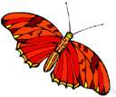 redness - red color or pigment