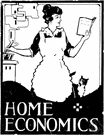 domestic science - theory and practice of homemaking