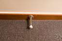 baseboard - a molding covering the joint formed by a wall and the floor