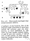 hereditary condition - a disease or disorder that is inherited genetically