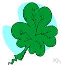 shamrock - creeping European clover having white to pink flowers and bright green leaves