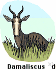 Damaliscus - African antelopes: sassabies