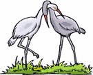 coupling - the act of pairing a male and female for reproductive purposes