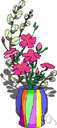 genus Matthiola - genus of Old World plants grown as ornamentals