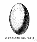 ellipsoid - a surface whose plane sections are all ellipses or circles
