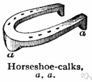 calkin - a metal cleat on the bottom front of a horseshoe to prevent slipping