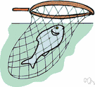 Gill net - definition of gill net by The Free Dictionary