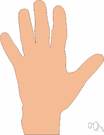 little finger - the finger farthest from the thumb