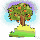 citrous fruit - any of numerous fruits of the genus Citrus having thick rind and juicy pulp