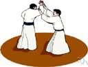 aikido - a Japanese martial art employing principles similar to judo