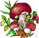 mycology - the branch of botany that studies fungi and fungus-caused diseases