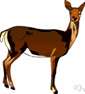 hoofed mammal - any of a number of mammals with hooves that are superficially similar but not necessarily closely related taxonomically
