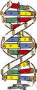 acceptor RNA - RNA molecules present in the cell (in at least 20 varieties, each variety capable of combining with a specific amino acid) that attach the correct amino acid to the protein chain that is being synthesized at the ribosome of the cell (according to directions coded in the mRNA)