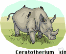 Ceratotherium simum - large light-grey African rhinoceros having two horns