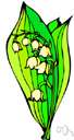 lily of the valley - low-growing perennial plant having usually two large oblong lanceolate leaves and a raceme of small fragrant nodding bell-shaped flowers followed by scarlet berries