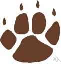 PAW - a clawed foot of an animal especially a quadruped