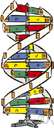a - one of the four nucleotides used in building DNA