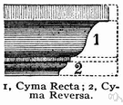 cyma - (architecture) a molding for a cornice